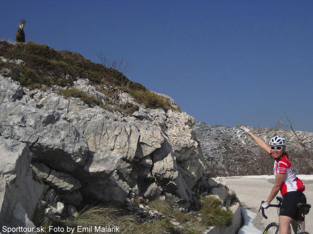 Jarn� kilometre 2014 - Emil Mal�rik